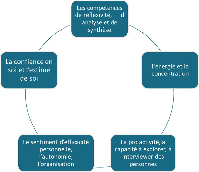 schema-plus_infos.jpg